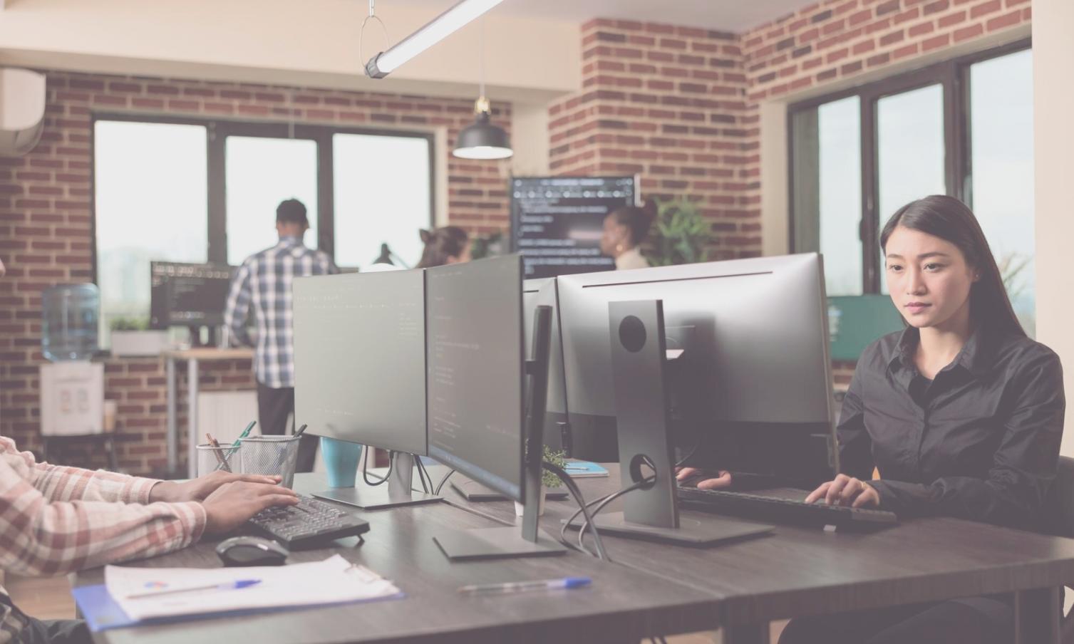 Sistema de control de gastos en acción